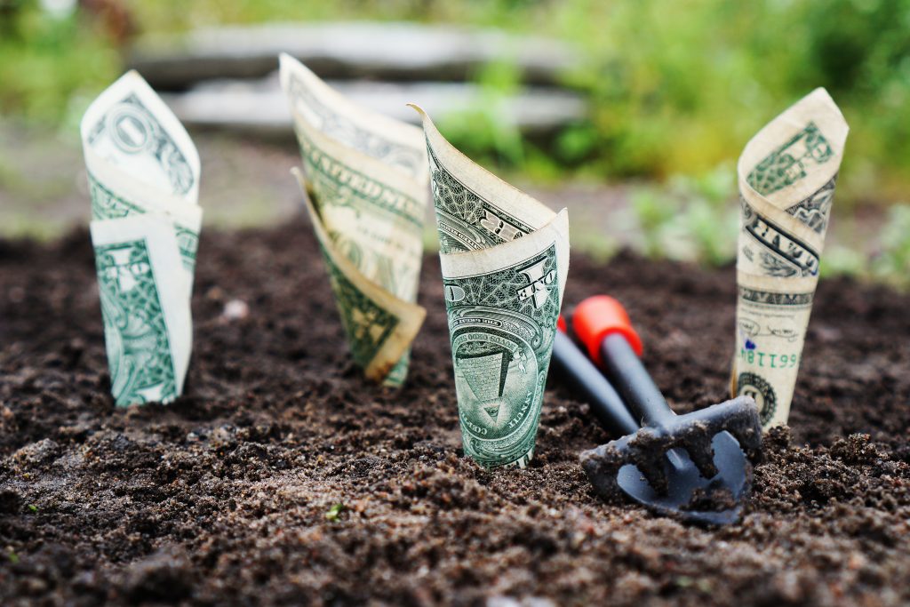 How To Turn A Hobby Into A Profitable Online Business?
