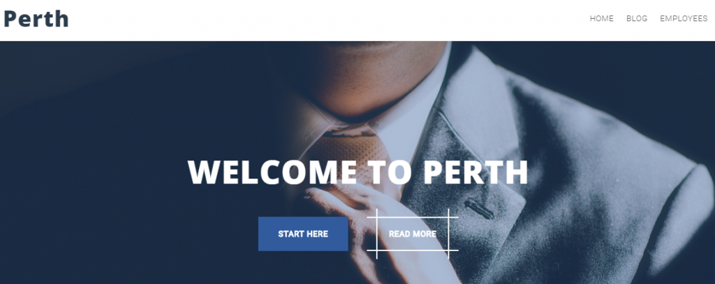 Best 5+ Free WordPress Themes For All Types Of Business