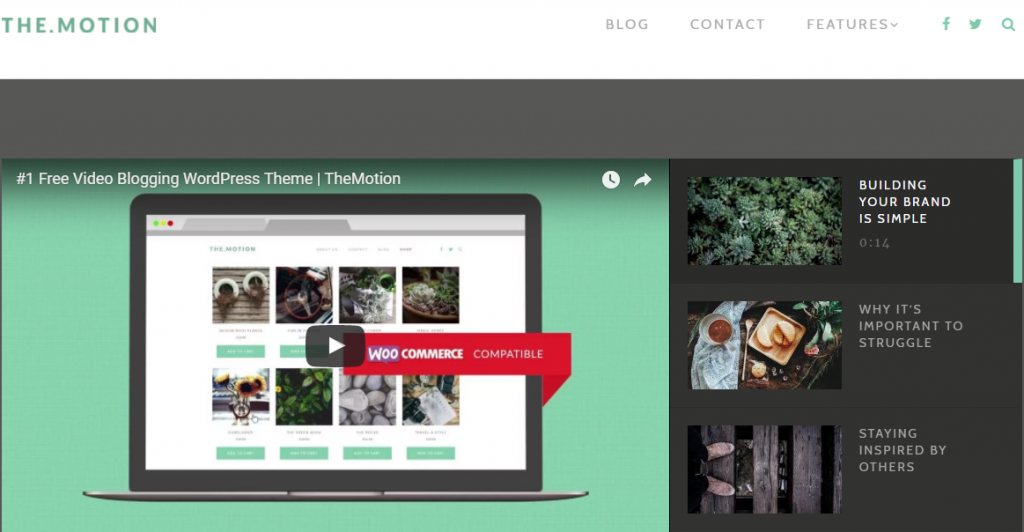 Best 5+ Free WordPress Themes For All Types Of Business